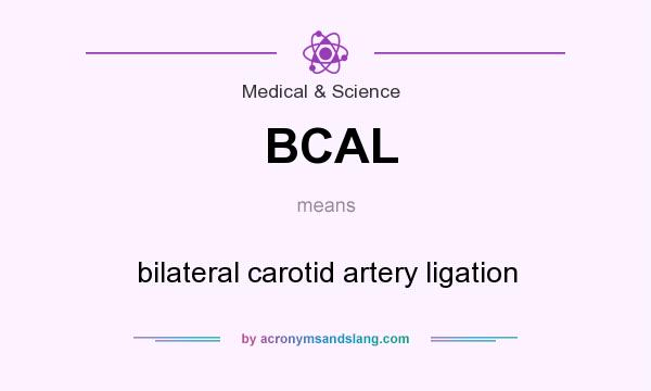 What does BCAL mean? It stands for bilateral carotid artery ligation