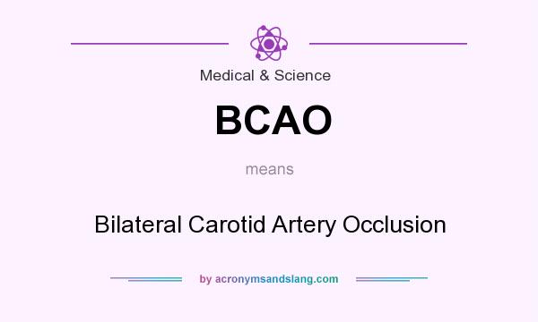 What does BCAO mean? It stands for Bilateral Carotid Artery Occlusion