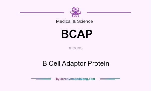 What does BCAP mean? It stands for B Cell Adaptor Protein