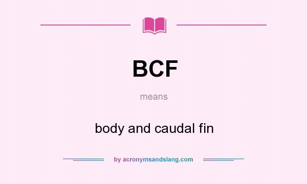 What does BCF mean? It stands for body and caudal fin