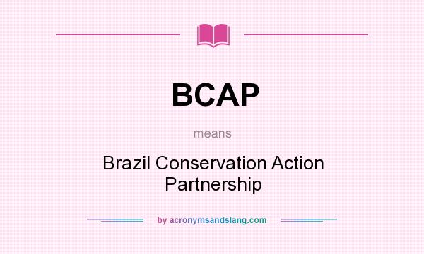 What does BCAP mean? It stands for Brazil Conservation Action Partnership