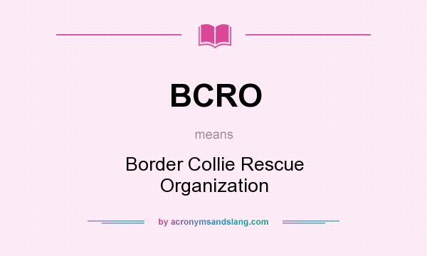 What does BCRO mean? It stands for Border Collie Rescue Organization