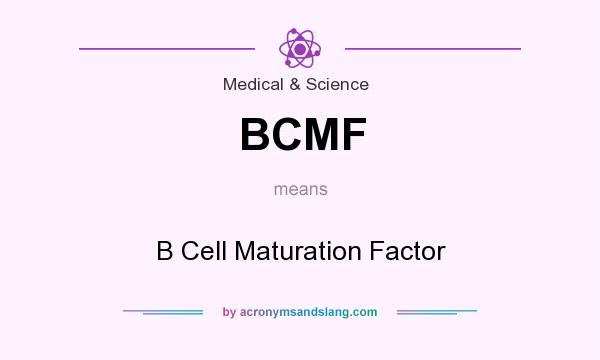 What does BCMF mean? It stands for B Cell Maturation Factor