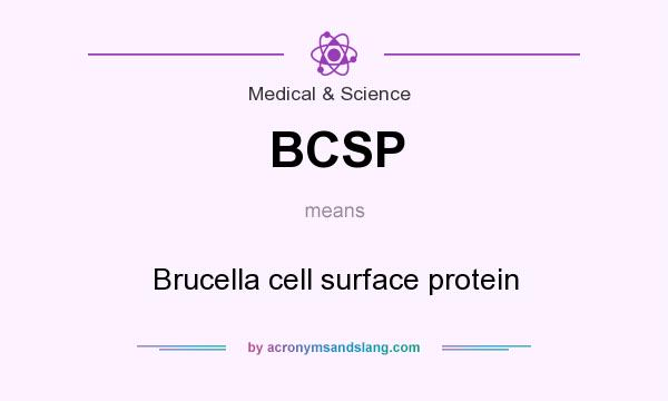 What does BCSP mean? It stands for Brucella cell surface protein