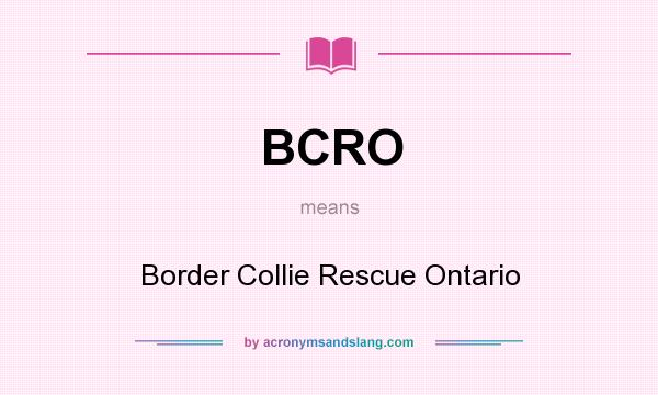 What does BCRO mean? It stands for Border Collie Rescue Ontario