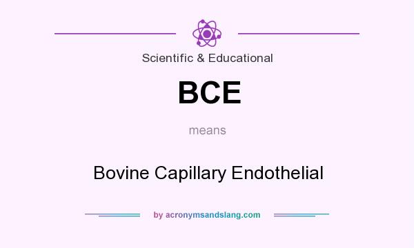 What does BCE mean? It stands for Bovine Capillary Endothelial
