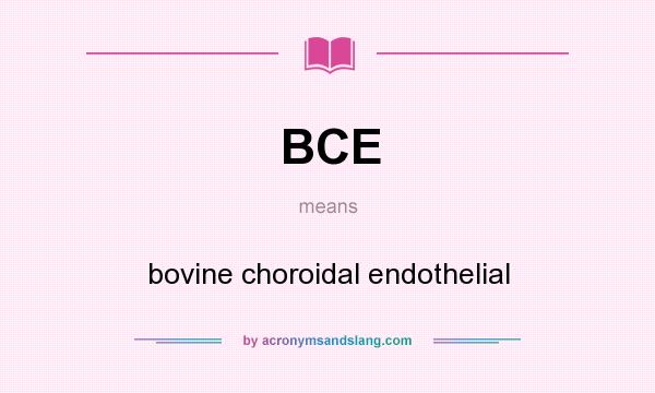 What does BCE mean? It stands for bovine choroidal endothelial