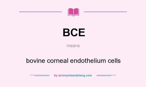What does BCE mean? It stands for bovine corneal endothelium cells
