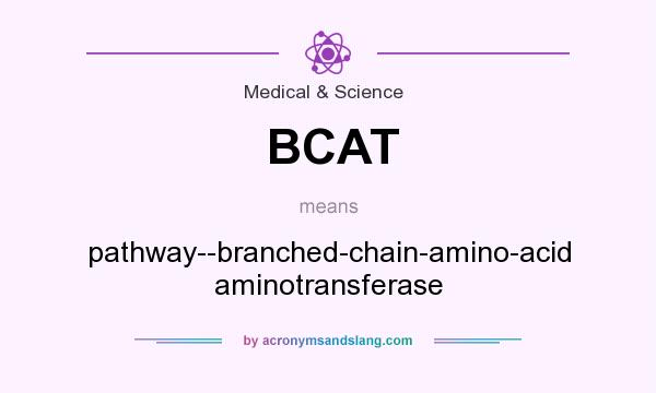 What does BCAT mean? It stands for pathway--branched-chain-amino-acid aminotransferase