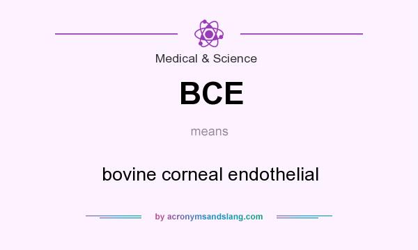 What does BCE mean? It stands for bovine corneal endothelial