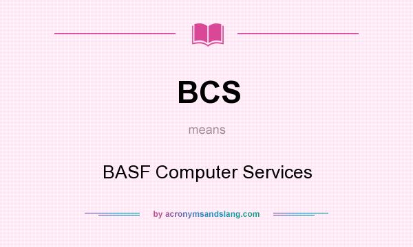 What does BCS mean? It stands for BASF Computer Services