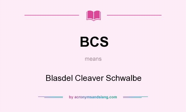 What does BCS mean? It stands for Blasdel Cleaver Schwalbe