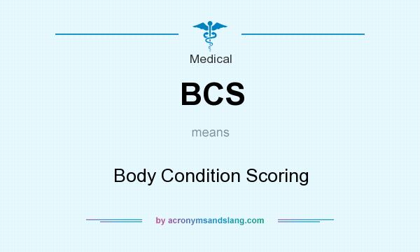 What does BCS mean? It stands for Body Condition Scoring