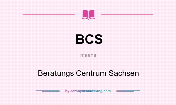 What does BCS mean? It stands for Beratungs Centrum Sachsen