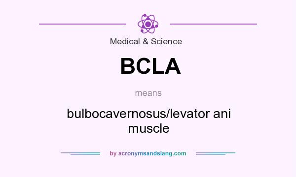 What does BCLA mean? It stands for bulbocavernosus/levator ani muscle