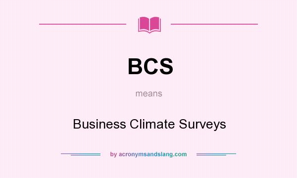 What does BCS mean? It stands for Business Climate Surveys