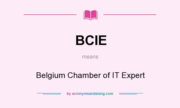 What does BCIE mean? It stands for Belgium Chamber of IT Expert