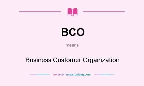 What does BCO mean? It stands for Business Customer Organization