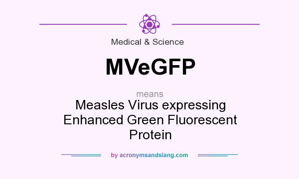 What does MVeGFP mean? It stands for Measles Virus expressing Enhanced Green Fluorescent Protein