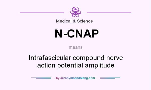 What does N-CNAP mean? It stands for Intrafascicular compound nerve action potential amplitude