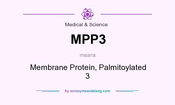 What does MPP3 mean? It stands for Membrane Protein, Palmitoylated 3