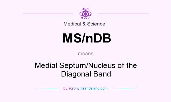 What does MS/nDB mean? It stands for Medial Septum/Nucleus of the Diagonal Band