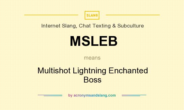 What does MSLEB mean? It stands for Multishot Lightning Enchanted Boss