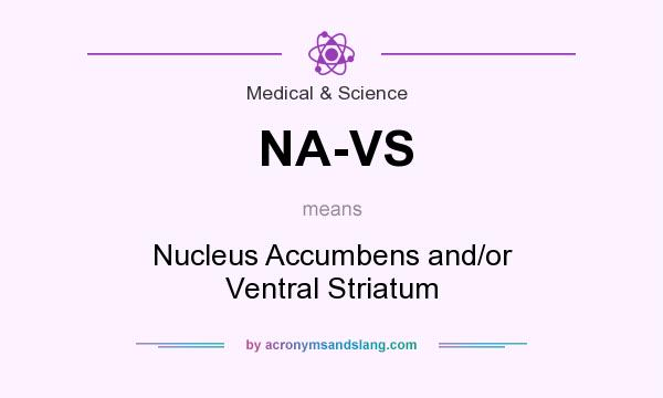 What does NA-VS mean? It stands for Nucleus Accumbens and/or Ventral Striatum