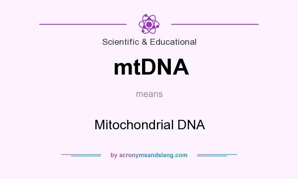What does mtDNA mean? It stands for Mitochondrial DNA