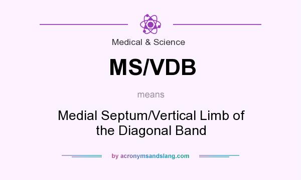 What does MS/VDB mean? It stands for Medial Septum/Vertical Limb of the Diagonal Band
