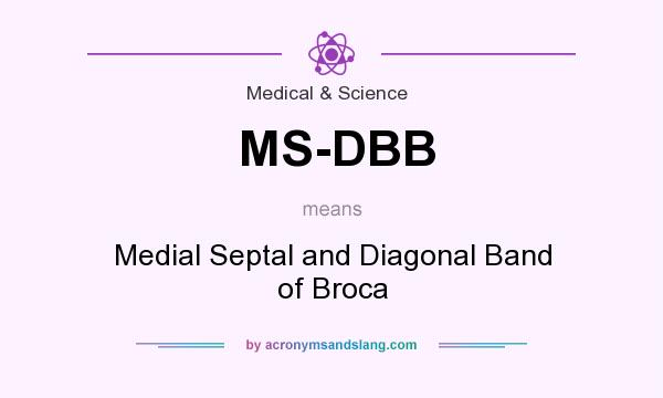 What does MS-DBB mean? It stands for Medial Septal and Diagonal Band of Broca