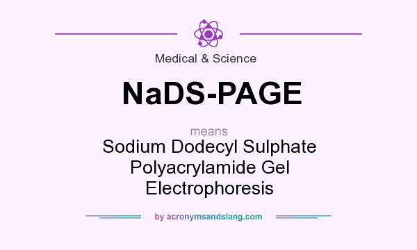 What does NaDS-PAGE mean? It stands for Sodium Dodecyl Sulphate Polyacrylamide Gel Electrophoresis