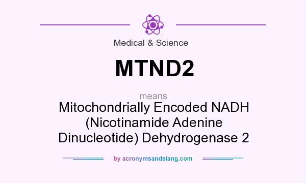 What does MTND2 mean? It stands for Mitochondrially Encoded NADH (Nicotinamide Adenine Dinucleotide) Dehydrogenase 2