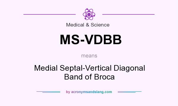 What does MS-VDBB mean? It stands for Medial Septal-Vertical Diagonal Band of Broca