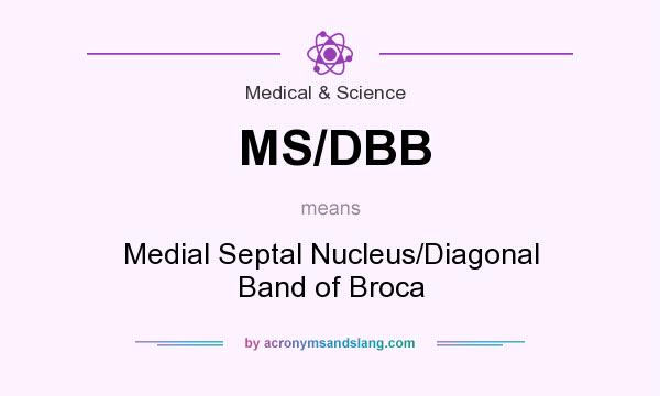 What does MS/DBB mean? It stands for Medial Septal Nucleus/Diagonal Band of Broca