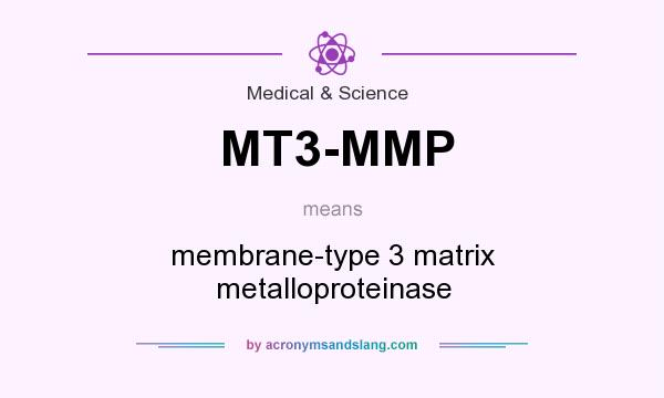 What does MT3-MMP mean? It stands for membrane-type 3 matrix metalloproteinase
