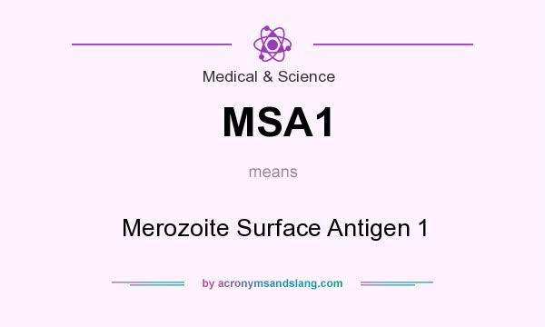 What does MSA1 mean? It stands for Merozoite Surface Antigen 1