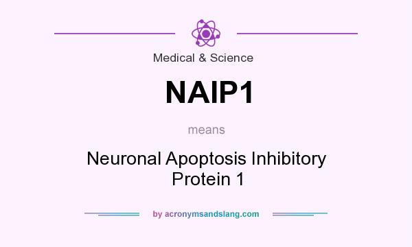 What does NAIP1 mean? It stands for Neuronal Apoptosis Inhibitory Protein 1