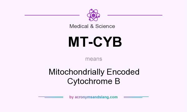 What does MT-CYB mean? It stands for Mitochondrially Encoded Cytochrome B