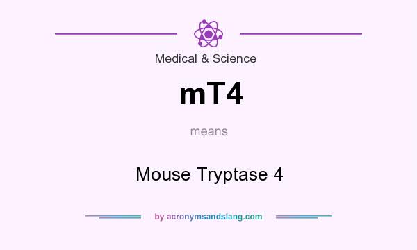 What does mT4 mean? It stands for Mouse Tryptase 4