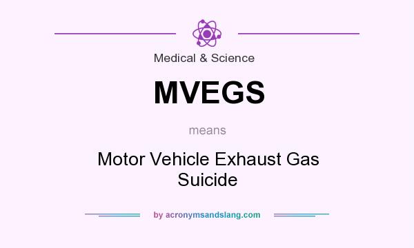 What does MVEGS mean? It stands for Motor Vehicle Exhaust Gas Suicide