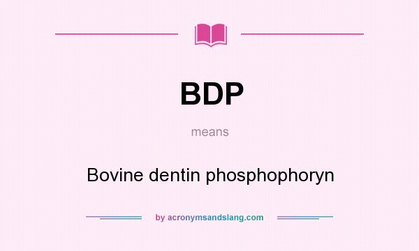 What does BDP mean? It stands for Bovine dentin phosphophoryn