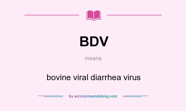 What does BDV mean? It stands for bovine viral diarrhea virus