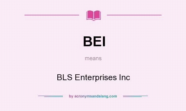What does BEI mean? It stands for BLS Enterprises Inc