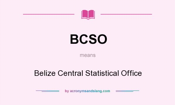 What does BCSO mean? It stands for Belize Central Statistical Office