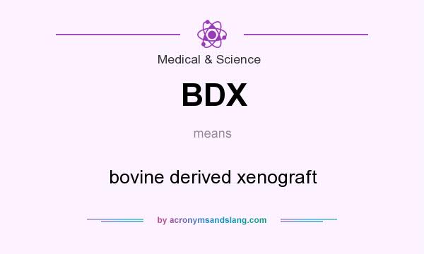 What does BDX mean? It stands for bovine derived xenograft
