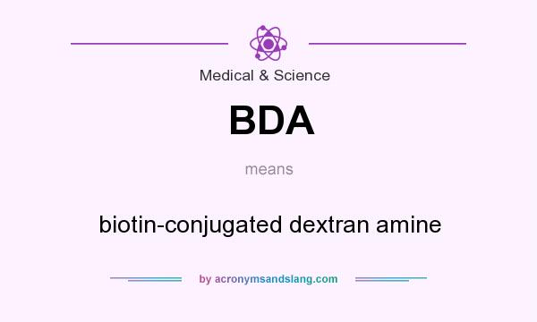 What does BDA mean? It stands for biotin-conjugated dextran amine