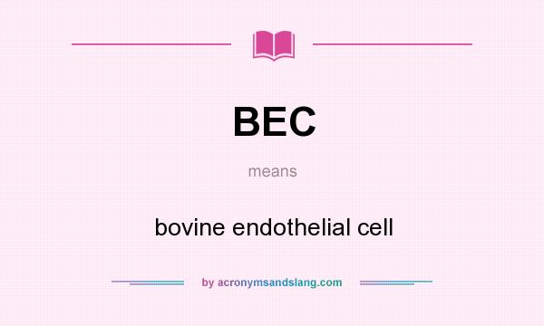 What does BEC mean? It stands for bovine endothelial cell