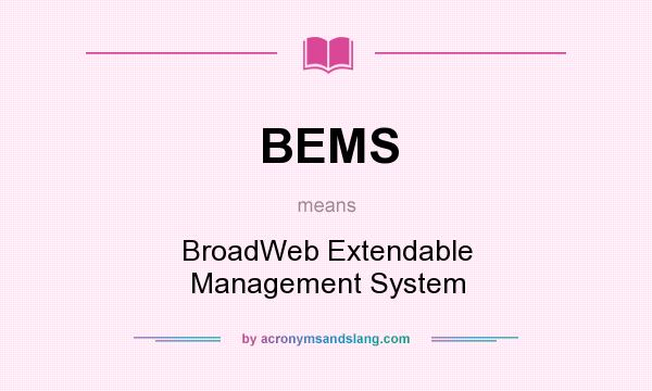 What does BEMS mean? It stands for BroadWeb Extendable Management System