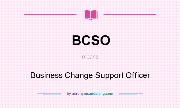 What does BCSO mean? It stands for Business Change Support Officer